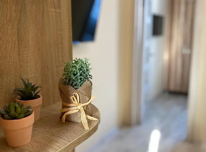 Апартаменты Opera House Львов